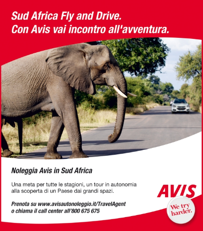 2013 - Avis